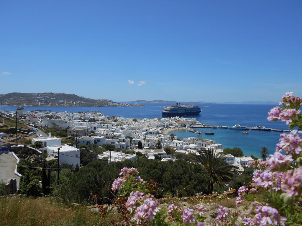 La Veranda Of Mykonos Traditional Guesthouse Mykonos Town Ngoại thất bức ảnh