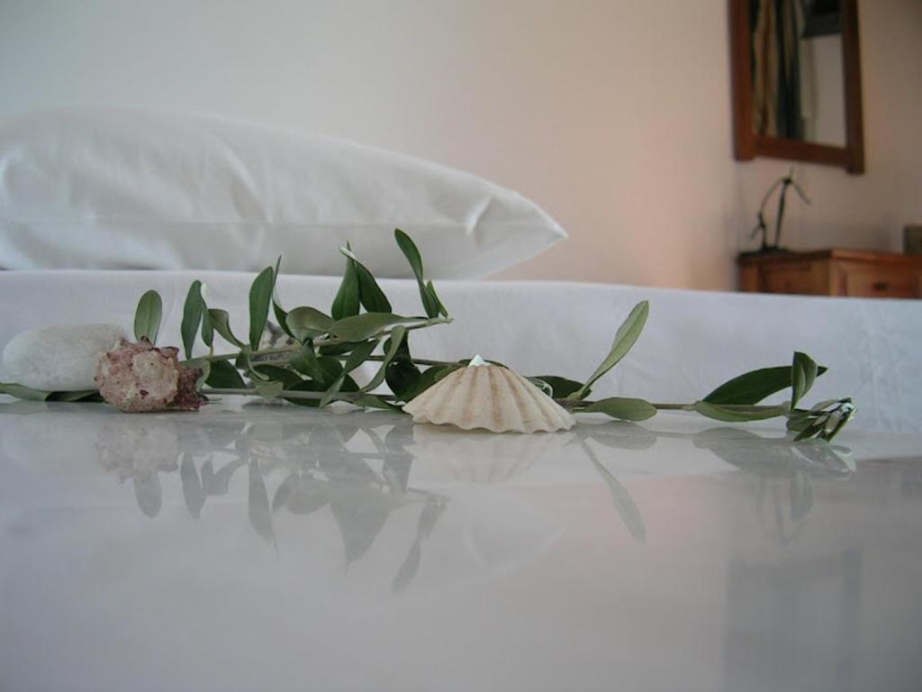La Veranda Of Mykonos Traditional Guesthouse Mykonos Town Ngoại thất bức ảnh