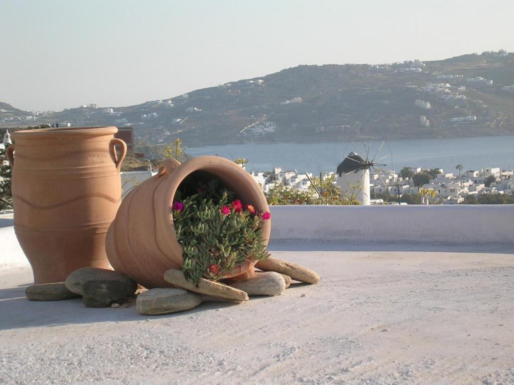 La Veranda Of Mykonos Traditional Guesthouse Mykonos Town Ngoại thất bức ảnh